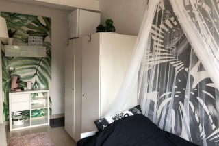 IMG 0313